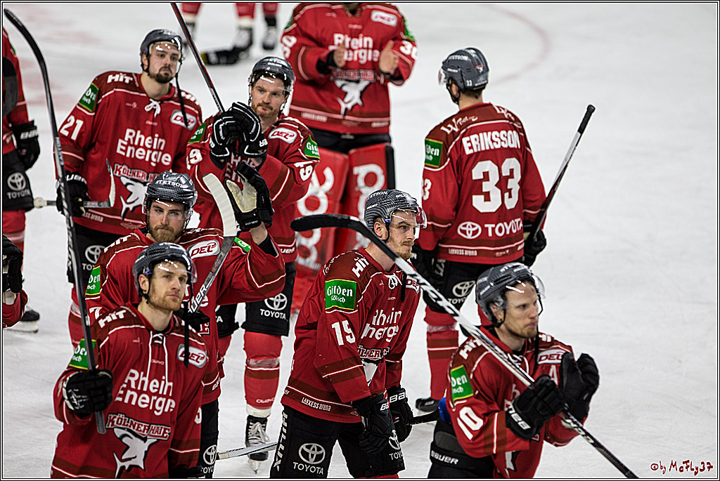 DEL, Koelner Haie - Grizzlys Wolfsburg, 21.03.2017